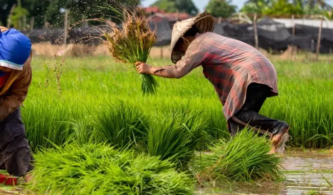 Rezeki Sudah Ditentukan, Namun Ikhtiar Tetap Wajib